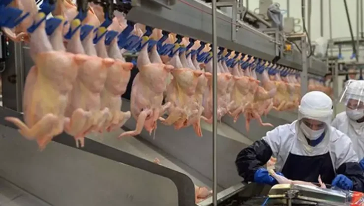 Ramazan Öncesi Tavuk Fiyatları Alarm Verdi: Bakanlıktan Kritik Müdahale