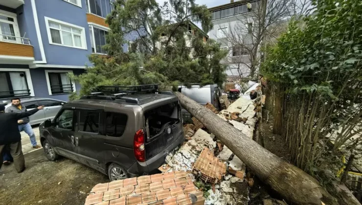 Samsun’da Şiddetli Fırtına: Devrilen Ağaçlar Araçları Hurdaya Çevirdi