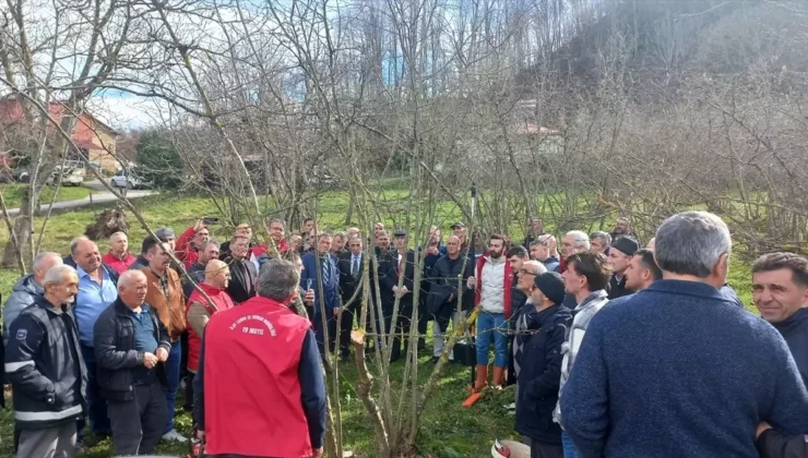 Samsun’da Fındıkta Verimi Artıracak Yeni Teknikler Masaya Yatırıldı