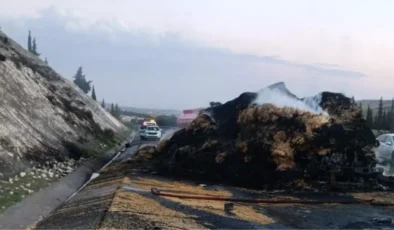 Şanlıurfa-Viranşehir Yolunda Feci TIR Kazası: Alev Alan Araçta Sürücü Hayatını Kaybetti