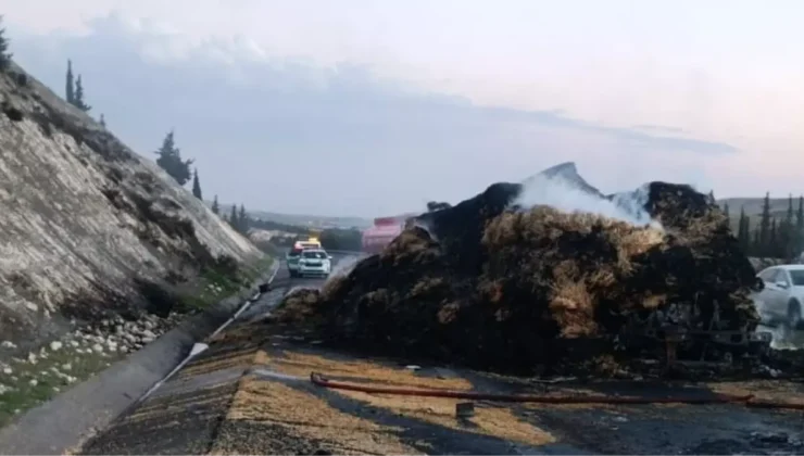 Şanlıurfa-Viranşehir Yolunda Feci TIR Kazası: Alev Alan Araçta Sürücü Hayatını Kaybetti