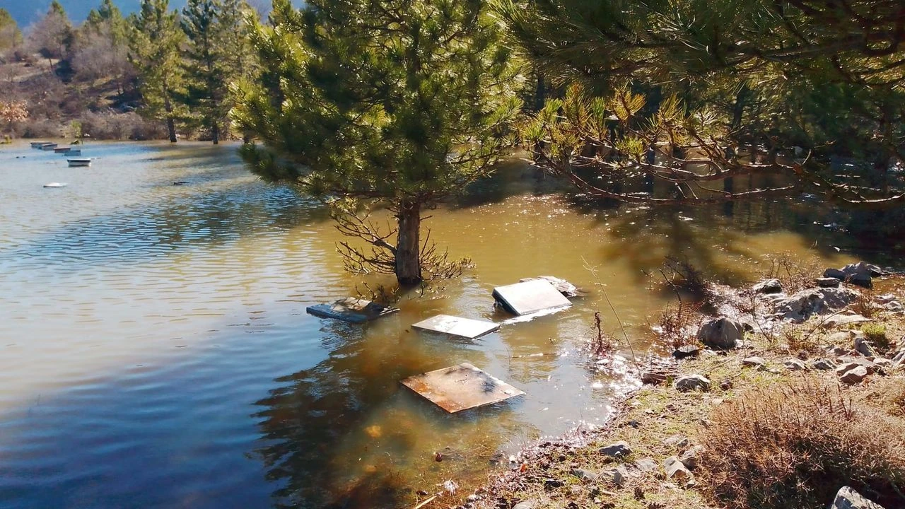 Seydişehir Arıcılık