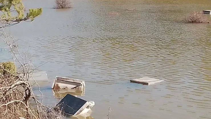 Seydişehir’de Sağanak Baskını: 30 Yıllık Arıcı 60 Kovanını Sular Altında Kaybetti