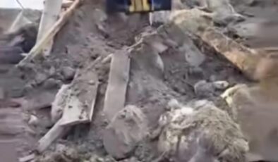 Sivas’ta Kar Felaketi: Ağılda Büyük Kayıp Yaşandı