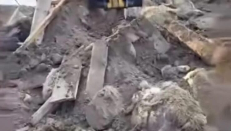 Sivas’ta Kar Felaketi: Ağılda Büyük Kayıp Yaşandı