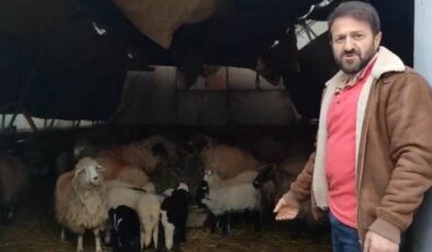 Trabzon’da Gizemli Hareketler: Sürünün Minibüs Etrafındaki Sırrı Şaşırttı