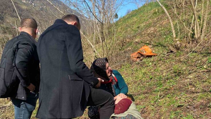 Uçuruma Yuvarlanan Yaşlı Kadını Fındık Dalları Tuttu