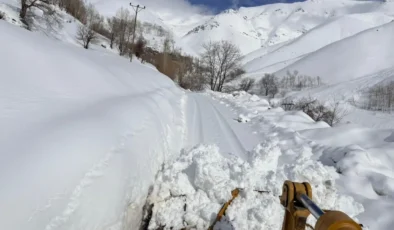 Van’da Kar Alarmı: İlçelerde Ulaşım Durdu