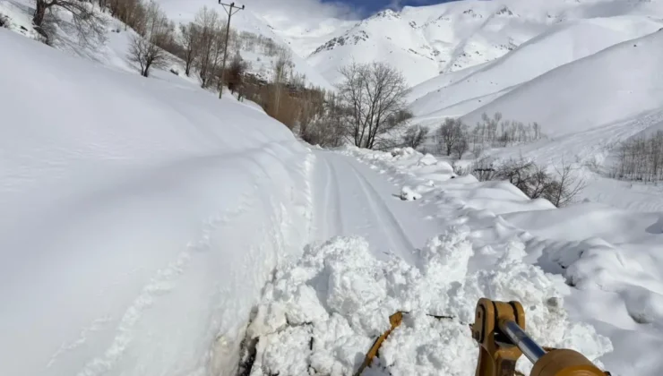 Van’da Kar Alarmı: İlçelerde Ulaşım Durdu