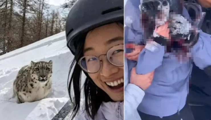 Leoparla Selfie Girişimi Kabusa Döndü