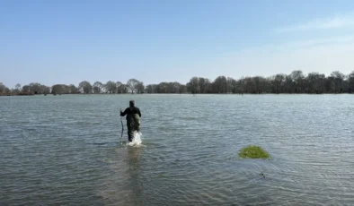 Alaçam’ın Sulak Alanlarında Zorlu Kazanç: Tıbbi Sülük Avcılığı Gelir Kapısı Oldu
