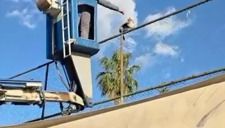 Alanya’da Nefes Kesen Kurtarma: Tel Çitlerde Mahsur Kalan Kedinin İmdadına Belediye Yetişti