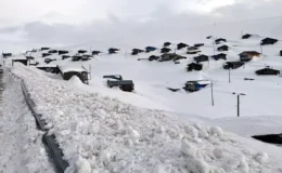 Bahar Beklerken Kış Geri Döndü: Ardahan ve Artvin Yaylaları Beyaz Gelinliğini Giydi!