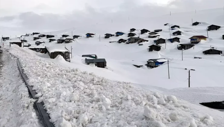 Bahar Beklerken Kış Geri Döndü: Ardahan ve Artvin Yaylaları Beyaz Gelinliğini Giydi!