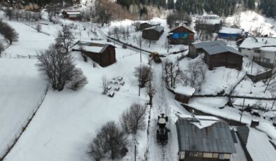 Artvin’de Kar Esareti: Orman Bölge Müdürlüğü Ekipleri Köy Yolları İçin Seferber Oldu