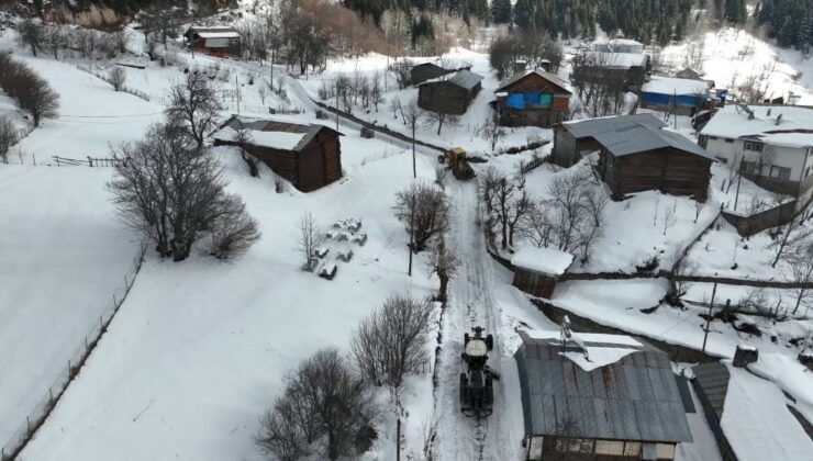 Artvin’de Kar Esareti: Orman Bölge Müdürlüğü Ekipleri Köy Yolları İçin Seferber Oldu