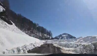 Artvin’de Macahel Geçidi 10 Günlük Mücadelenin Ardından Açıldı