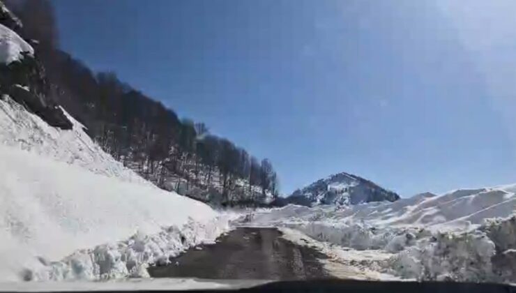 Artvin’de Macahel Geçidi 10 Günlük Mücadelenin Ardından Açıldı