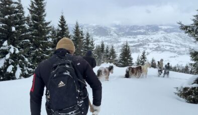 2 Bin 100 Metrede Ölüm Kalım Savaşı: Mahsur Kalan Atları Gençlerin Destansı Mücadelesi Kurtardı