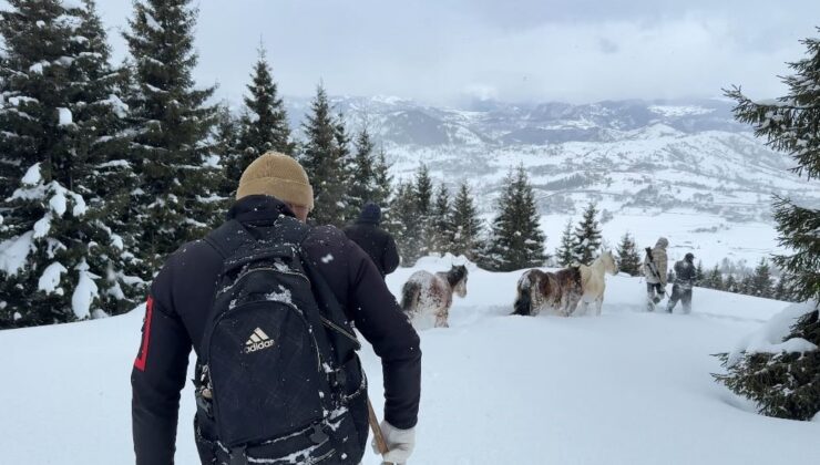 2 Bin 100 Metrede Ölüm Kalım Savaşı: Mahsur Kalan Atları Gençlerin Destansı Mücadelesi Kurtardı