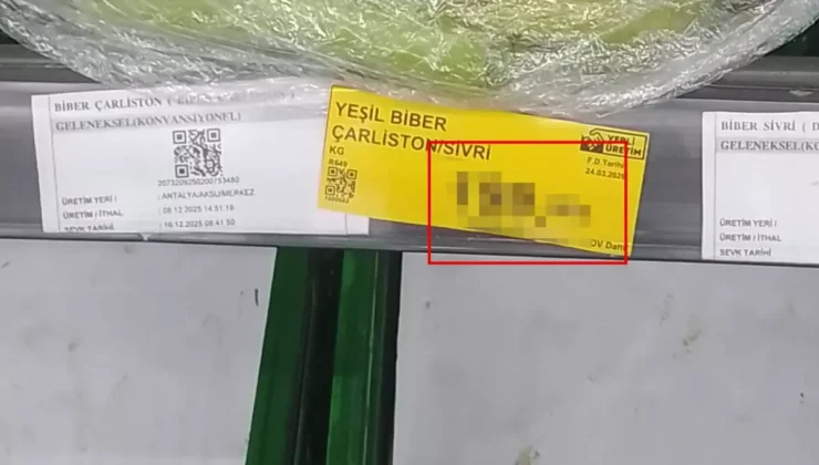 Et Fiyatıyla Yarışan Sebze: BİM’deki O Etiket Vatandaşı İsyan Ettirdi