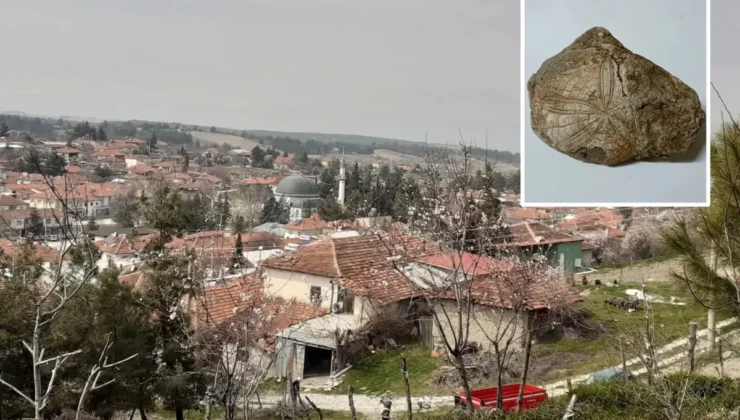 Denizli Dağlarında Milyonlarca Yıllık Sürpriz: Baklan’da Deniz Yıldızı Fosili Bulundu!