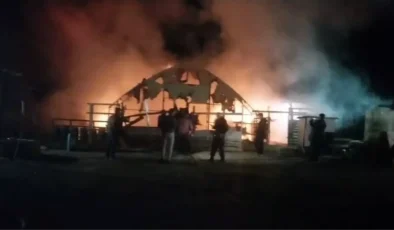 İnegöl’de Korkunç Gece: Çiftlikte Çıkan Yangın 580 Hayvana Mezar Oldu