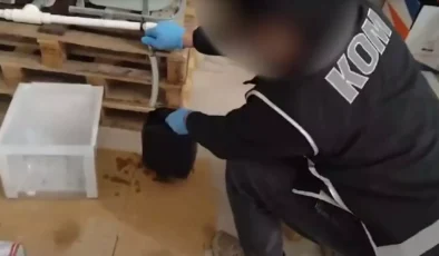 İzmir Merkezli Dev Sahte Alkol Operasyonu: 4 İlde 40 Ton Ele Geçirildi