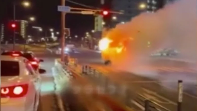 Japonya yanan kamyonet