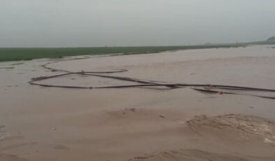 Mardin’de Sağanak Felaketi: Dereler Taştı, 30 Büyükbaş Hayvan Telef Oldu