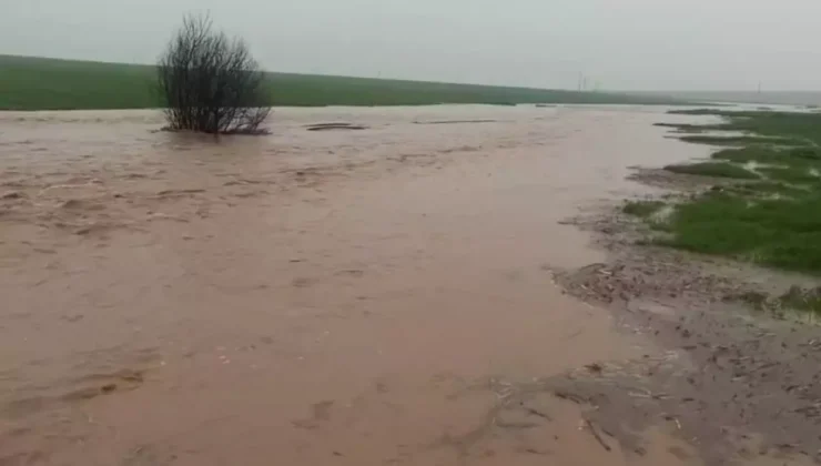 Mardin’de Sağanak Felaketi: Tarım Arazileri Sular Altında Kaldı