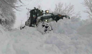 Ordu’da Kar Esareti: Kar Kalınlığı 2 Metreyi Buldu, Heyelanlar Peş Peşe Geldi