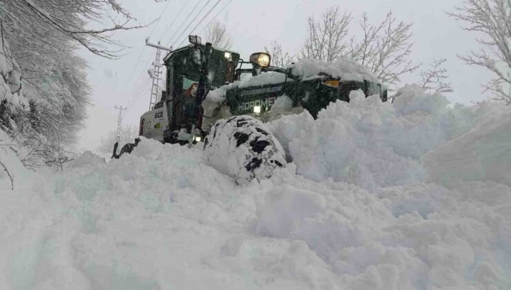 Ordu’da Kar Esareti: Kar Kalınlığı 2 Metreyi Buldu, Heyelanlar Peş Peşe Geldi