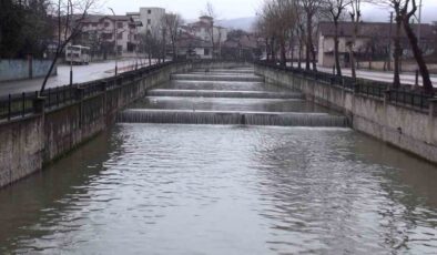 Uludere Çayı’nda Çevre Felaketi: Binlerce Balık Su Yüzeyine Vurarak Can Verdi