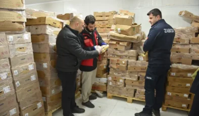 Siverek’te Halk Sağlığına Darbe: 50 Ton Bozuk Tavuk Eti Ele Geçirildi!