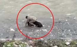 Siirt’te Görevli Polisin Hamlesi Herkesi Şaşırttı: O Anlar Kamerada