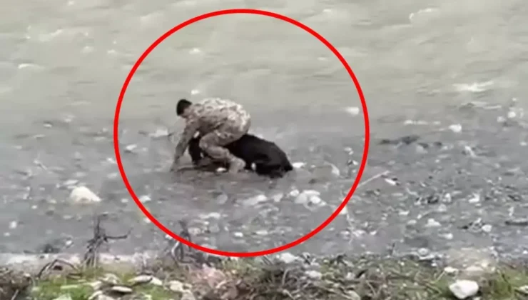 Siirt’te Görevli Polisin Hamlesi Herkesi Şaşırttı: O Anlar Kamerada