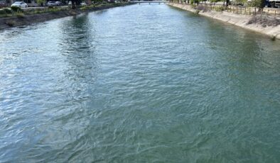 Adana’da Can Pazarı: Sulama Kanalına Düşen Genci Kahraman Vatandaş Kurtardı