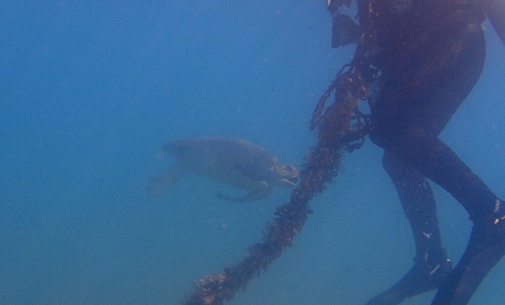 Antalya Deniz Polisi teknolojisi