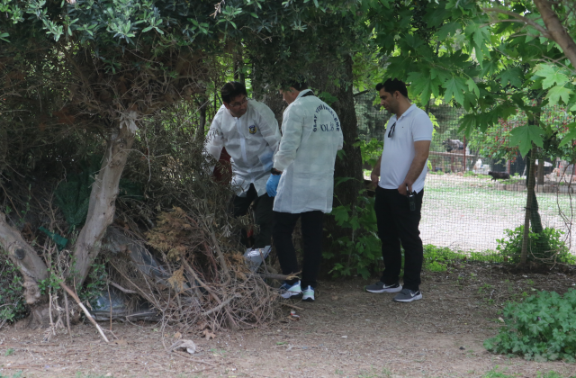Konyaaltı Sahilinde Şüpheli Ölüm: Ağaç Altında Bulunan Şahsın Kimliği Yüz Tanıma Sistemiyle Belirlendi