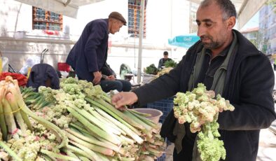 Doğu’nun Şifa Kaynağı Tezgahlarda: “Dağ Muzu” Işkın Mevsimi Başladı