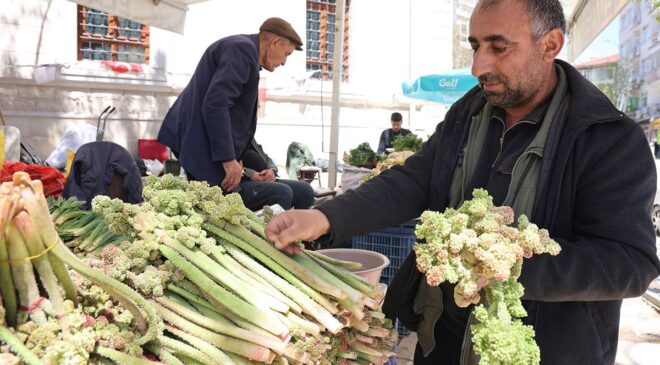Doğu’nun Şifa Kaynağı Tezgahlarda: “Dağ Muzu” Işkın Mevsimi Başladı