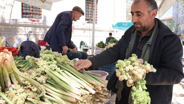Doğu’nun Şifa Kaynağı Tezgahlarda: “Dağ Muzu” Işkın Mevsimi Başladı