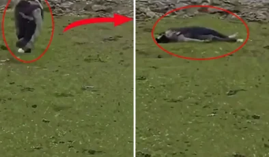 Sınırda Sıcak Temas: İsrail Ordusu Suriye Topraklarına Baskın Düzenledi