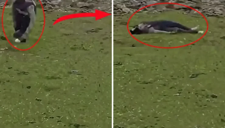 Sınırda Sıcak Temas: İsrail Ordusu Suriye Topraklarına Baskın Düzenledi