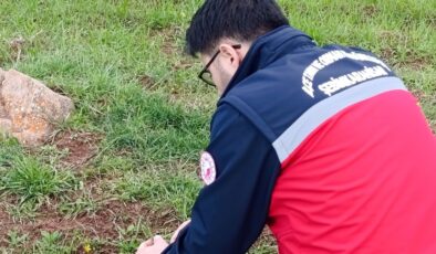 Şebinkarahisar Tarımında Dijital Takip: Ekipler Parsel Bazlı Denetime Çıktı