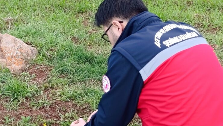 Şebinkarahisar Tarımında Dijital Takip: Ekipler Parsel Bazlı Denetime Çıktı