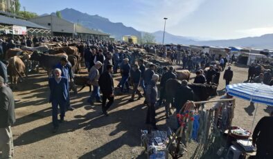 Hayvancılık Ekonomisinde Yeni Dönem: Şebinkarahisar Pazarı İçin Geri Sayım Başladı
