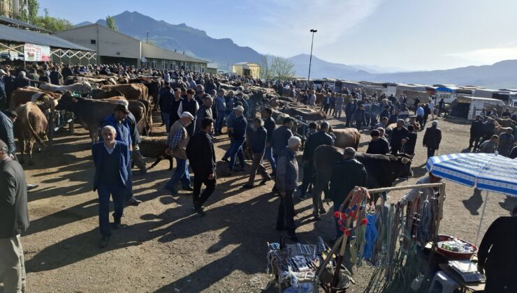 Hayvancılık Ekonomisinde Yeni Dönem: Şebinkarahisar Pazarı İçin Geri Sayım Başladı