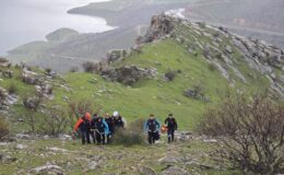 Siirt’te Kayalıklarda Can Pazarı: Atından Düşen Vatandaş İçin Zamanla Yarış